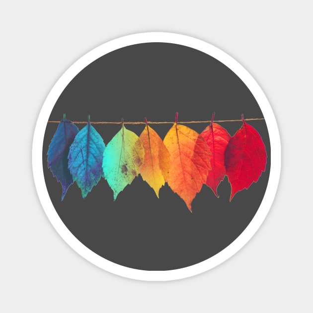 Rainbow Colored Leaves Magnet by DavidLoblaw